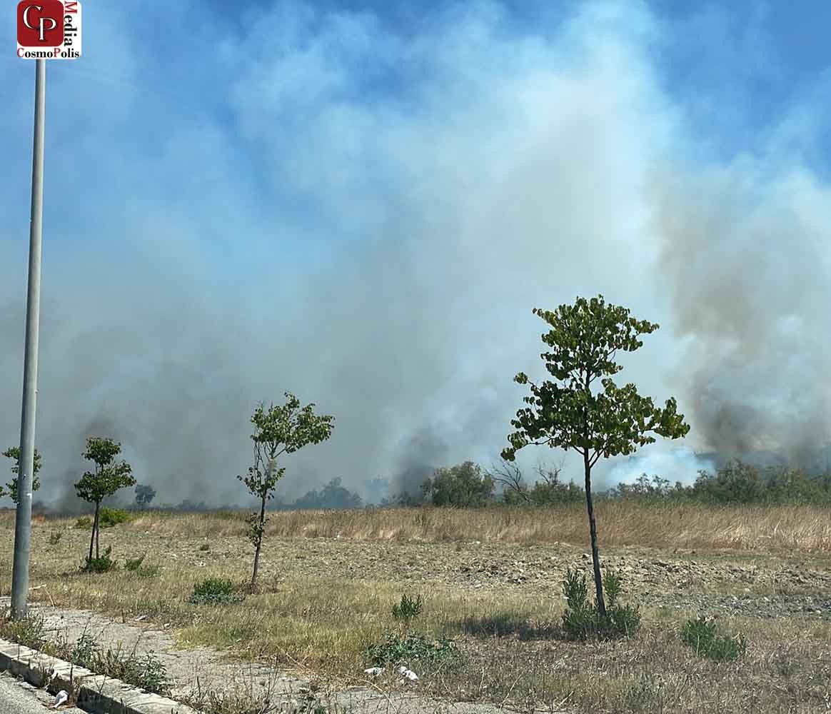 Taranto Vasto Incendio A Ridosso Del Quartiere Salinella Cosmopolis